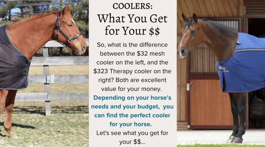 Coolers - What you Get for your Money