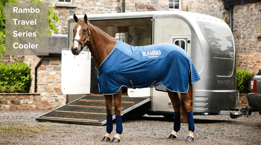 Shop for the Rambo Travel Series Cooler