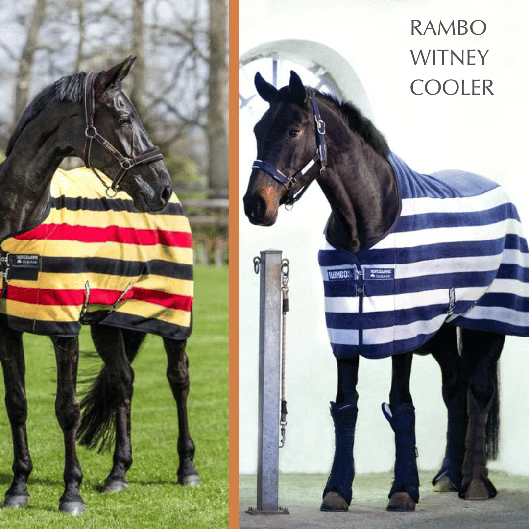 Shop for the Rambo Witney Cooler