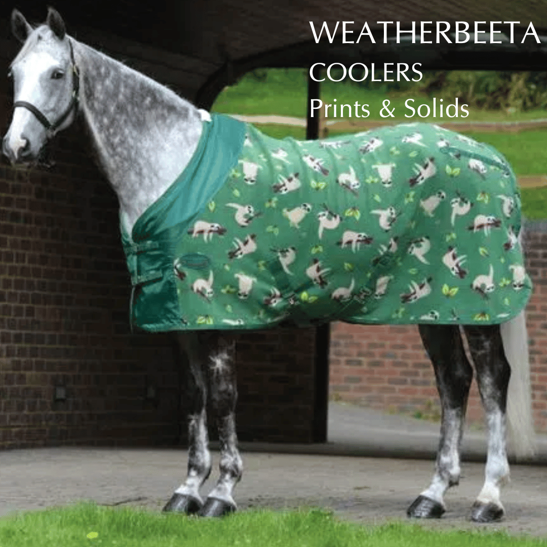 Shop for Weatherbeeta Coolers